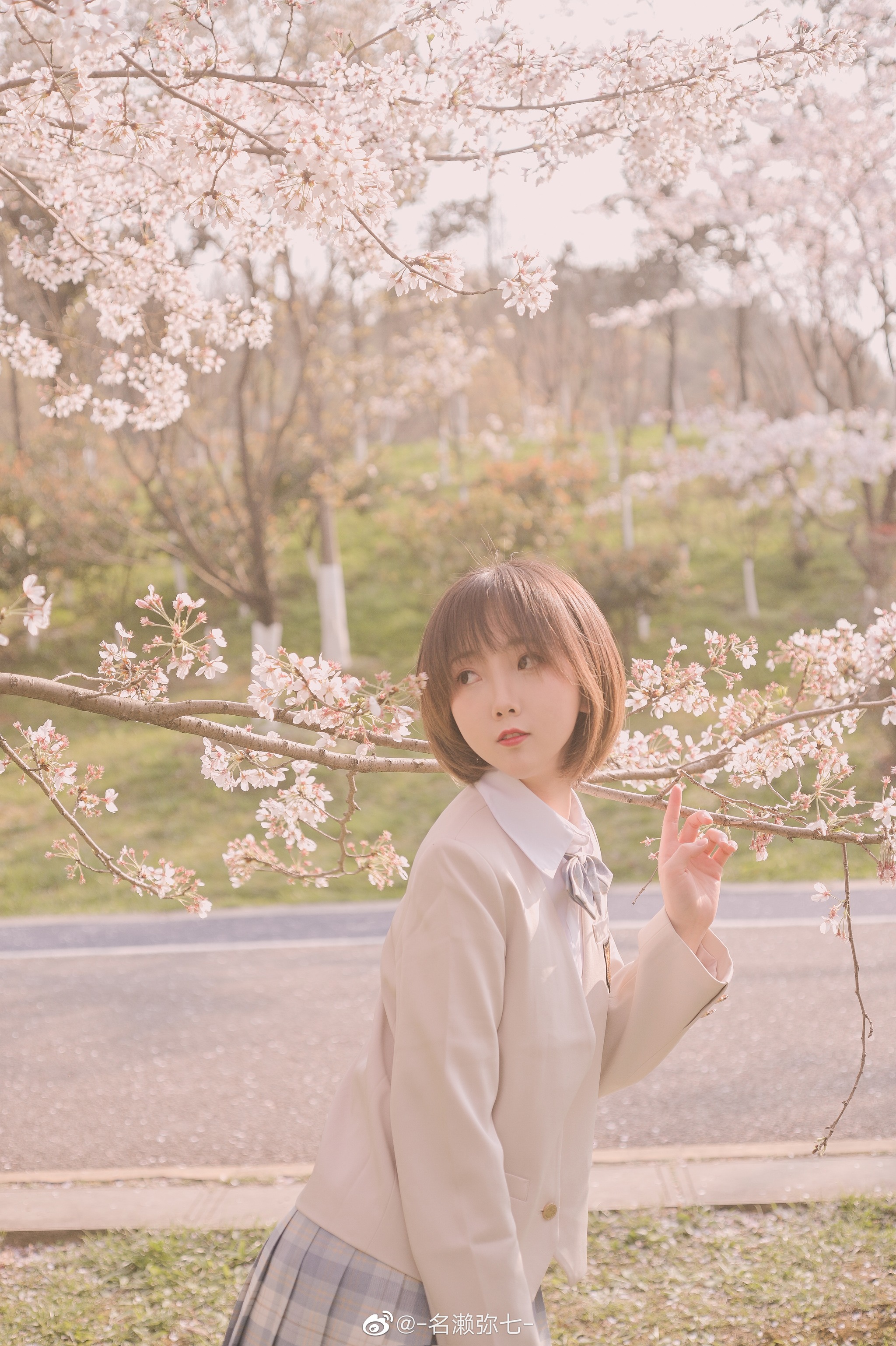 名濑弥七 – NO.003 樱花 [14P]-XikXak